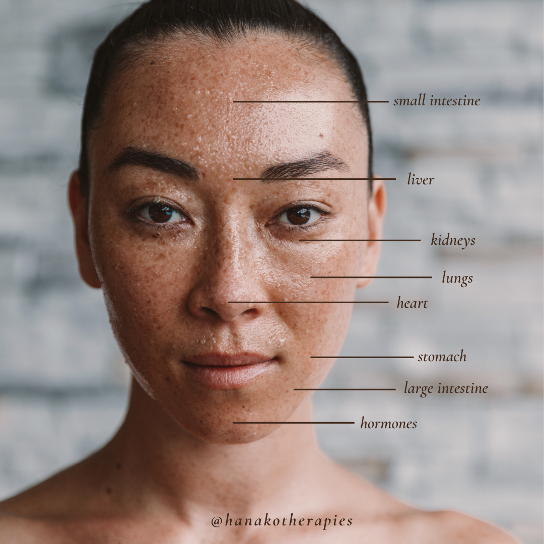 Face Mapping: What your skin might be telling you - Hanako Therapies